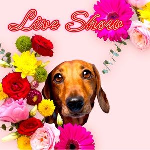Please make sure to like this post to be notified when I go live